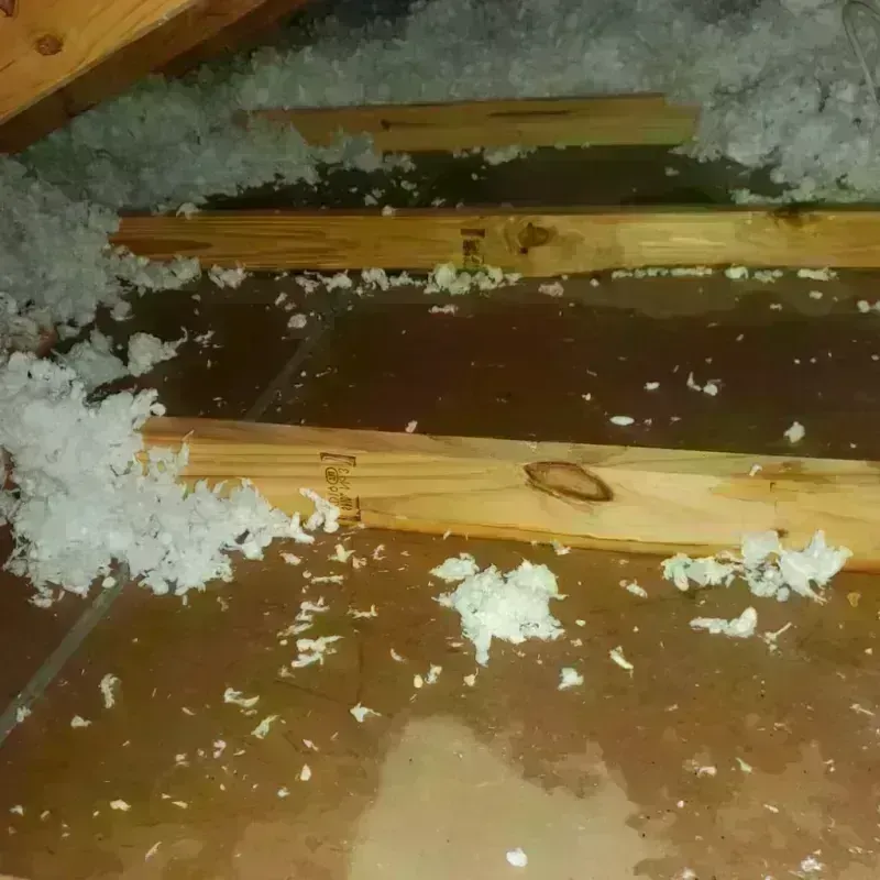 Attic Water Damage in Palmer, PR